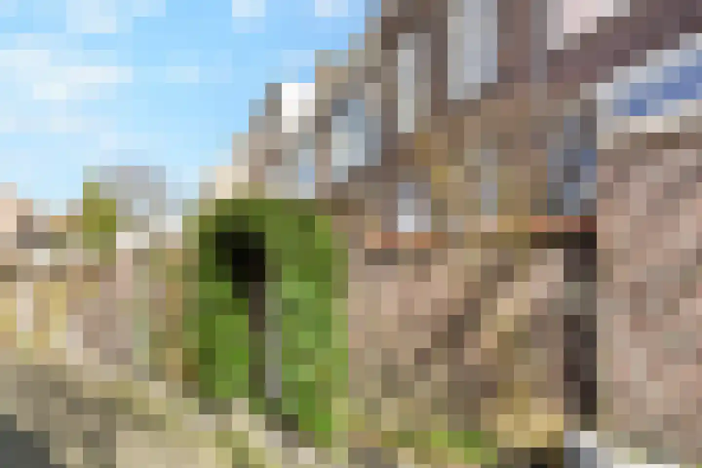 Groot Hertoginnelaan 257 Den Haag thumbnail 43