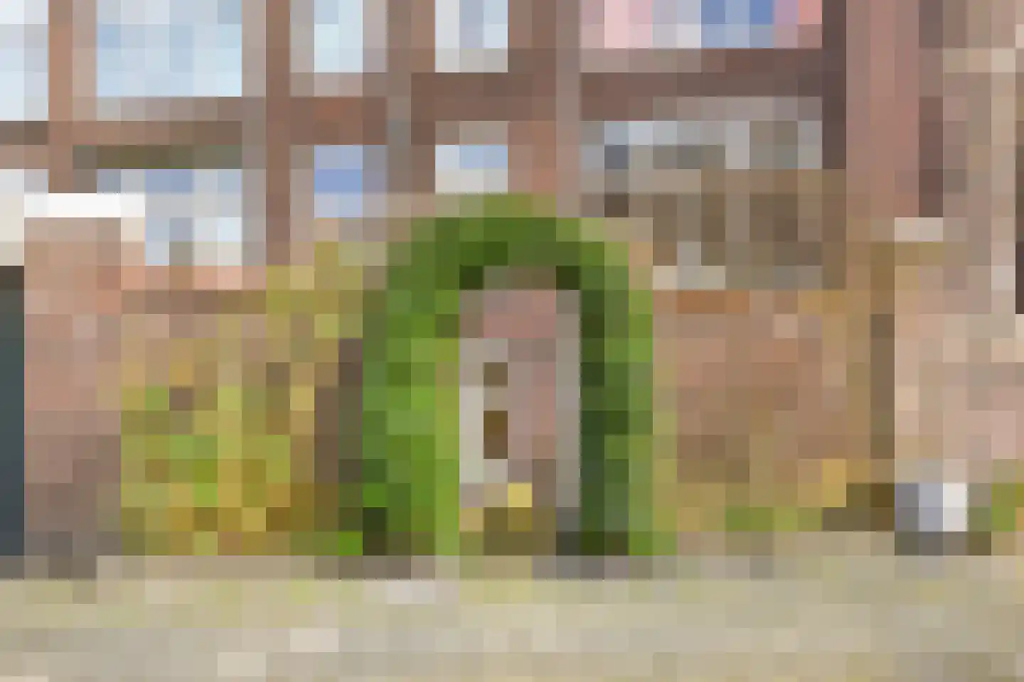Groot Hertoginnelaan 257 Den Haag thumbnail 44