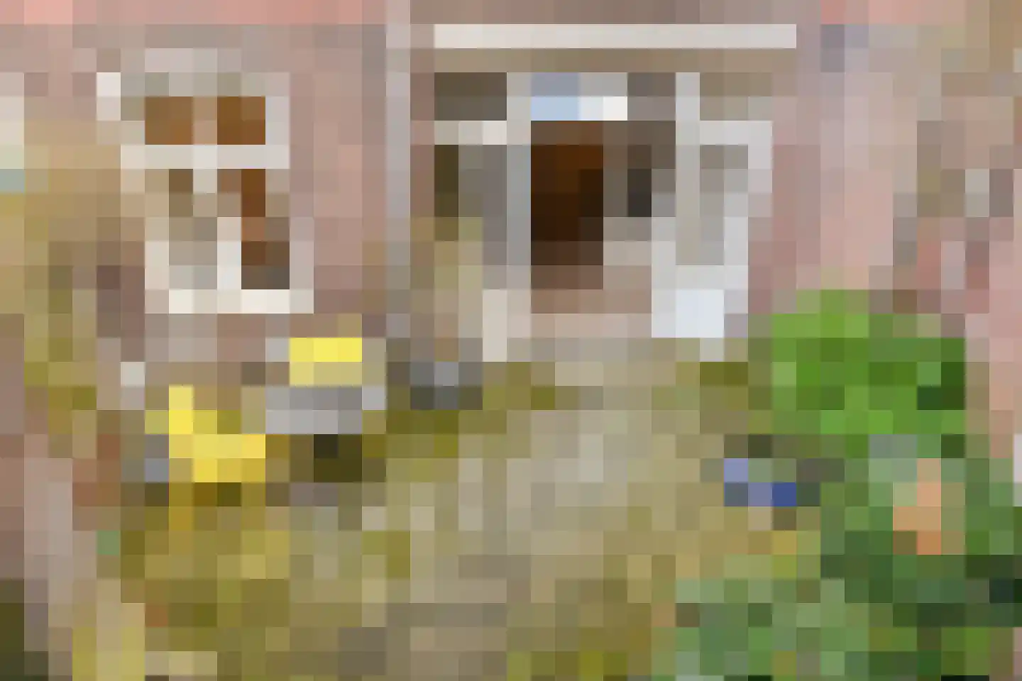 Groot Hertoginnelaan 257 Den Haag thumbnail 45