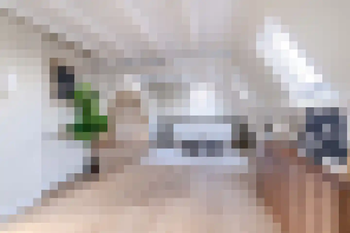 Groot Hertoginnelaan 259 A Den Haag
