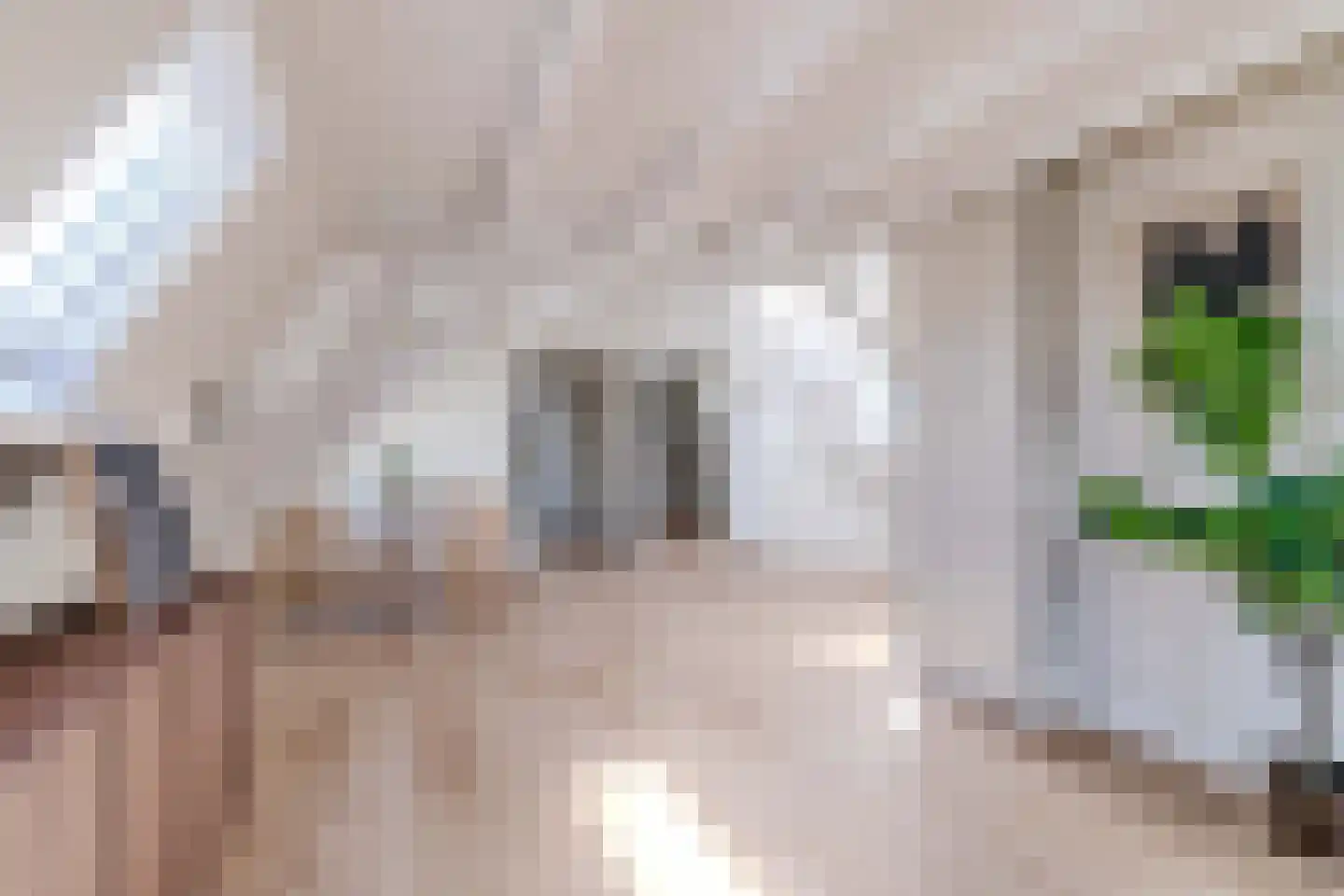 Groot Hertoginnelaan 259 A Den Haag thumbnail 4