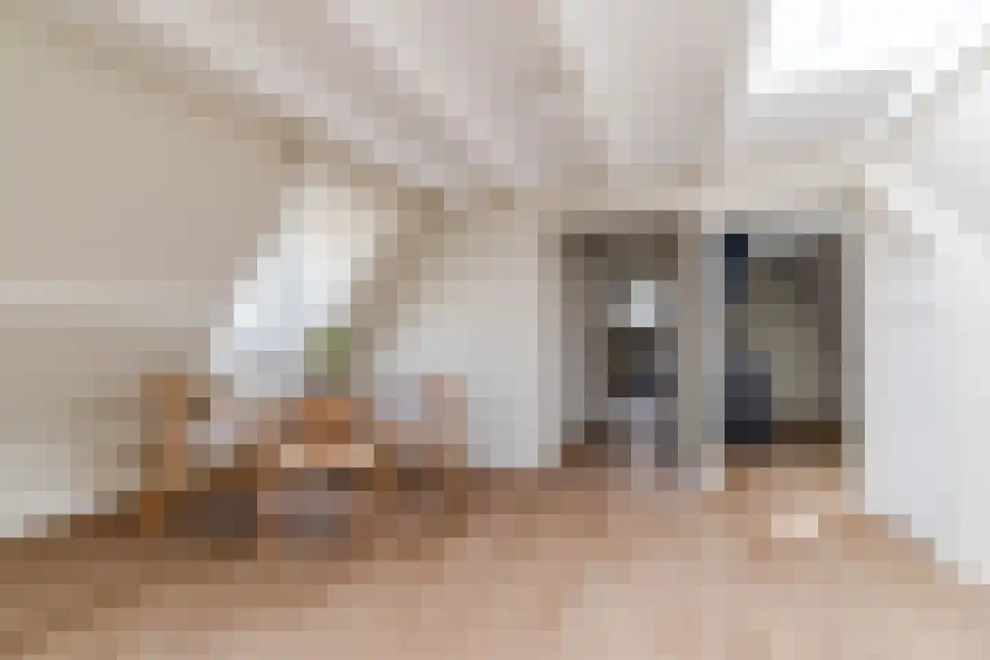 Groot Hertoginnelaan 259 A Den Haag thumbnail 5