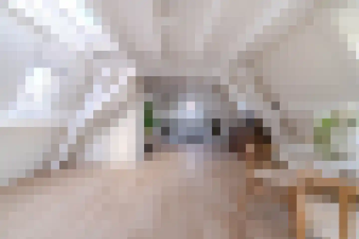 Groot Hertoginnelaan 259 A Den Haag thumbnail 6