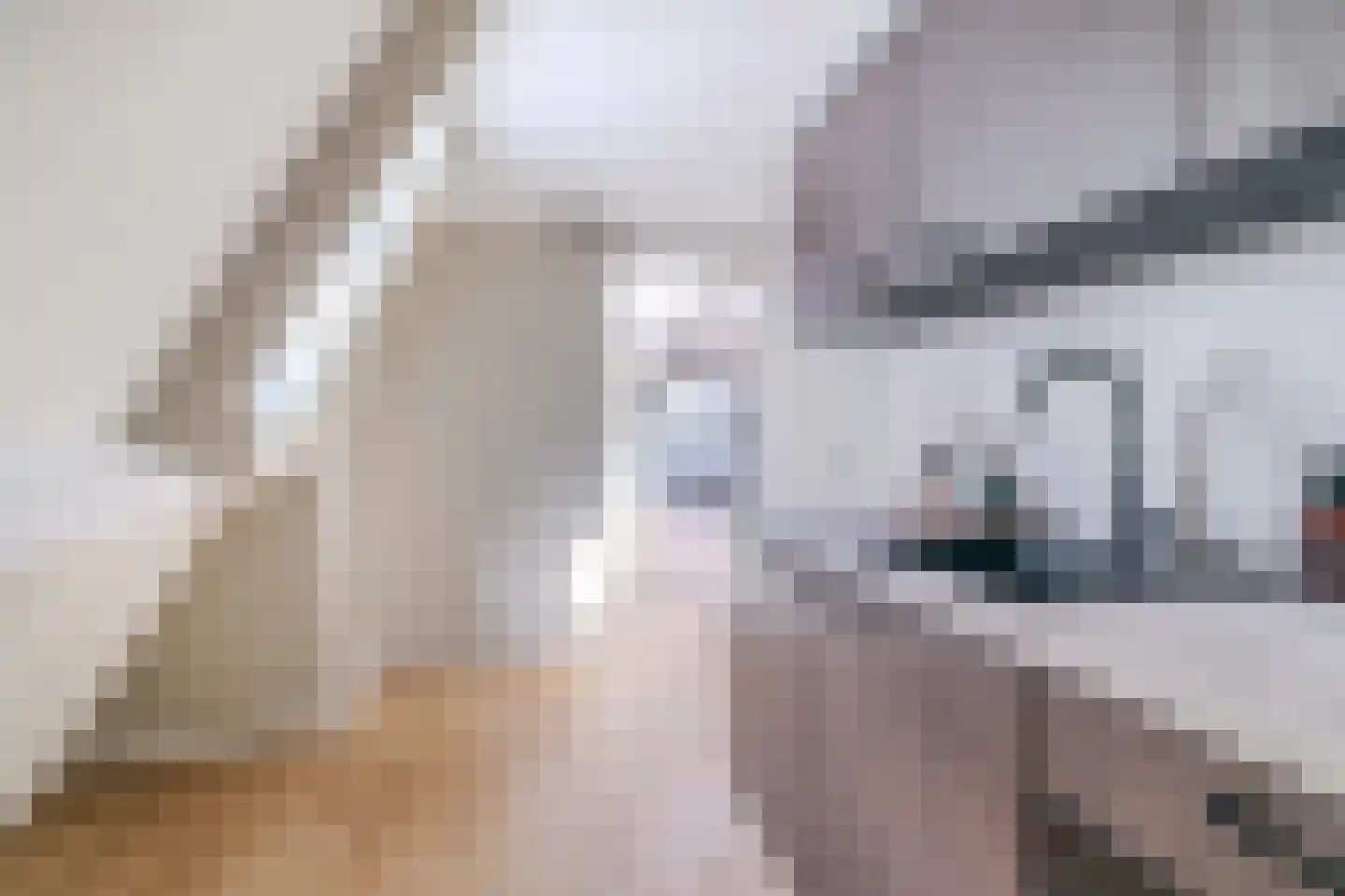 Groot Hertoginnelaan 259 A Den Haag thumbnail 9
