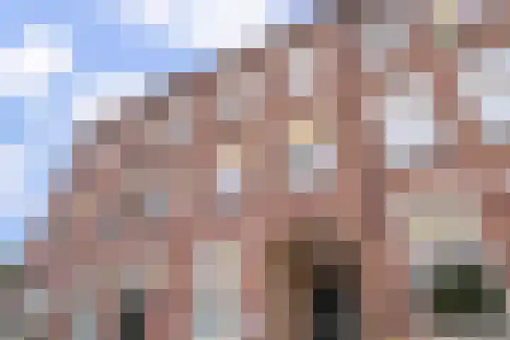 Groot Hertoginnelaan 259 B Den Haag thumbnail 17