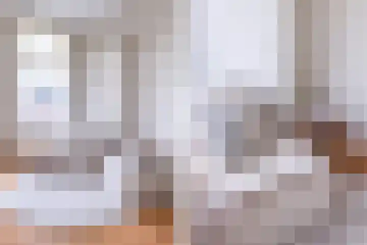Groot Hertoginnelaan 259 B Den Haag thumbnail 4