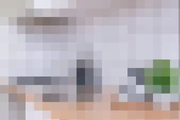 Groot Hertoginnelaan 259 B Den Haag thumbnail 9