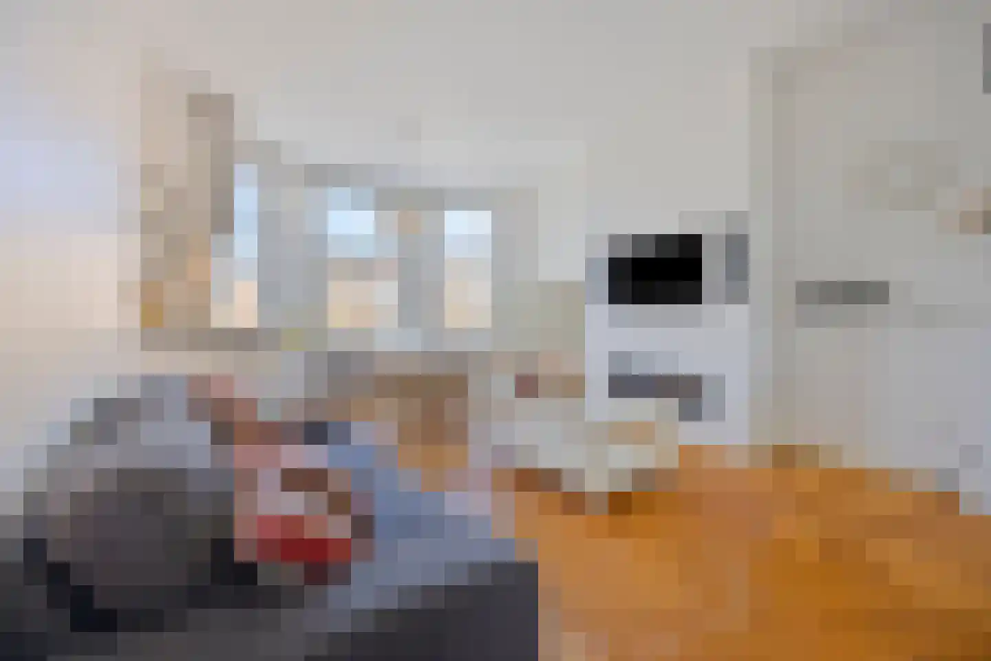 Groot Hertoginnelaan 262 A Den Haag thumbnail 10