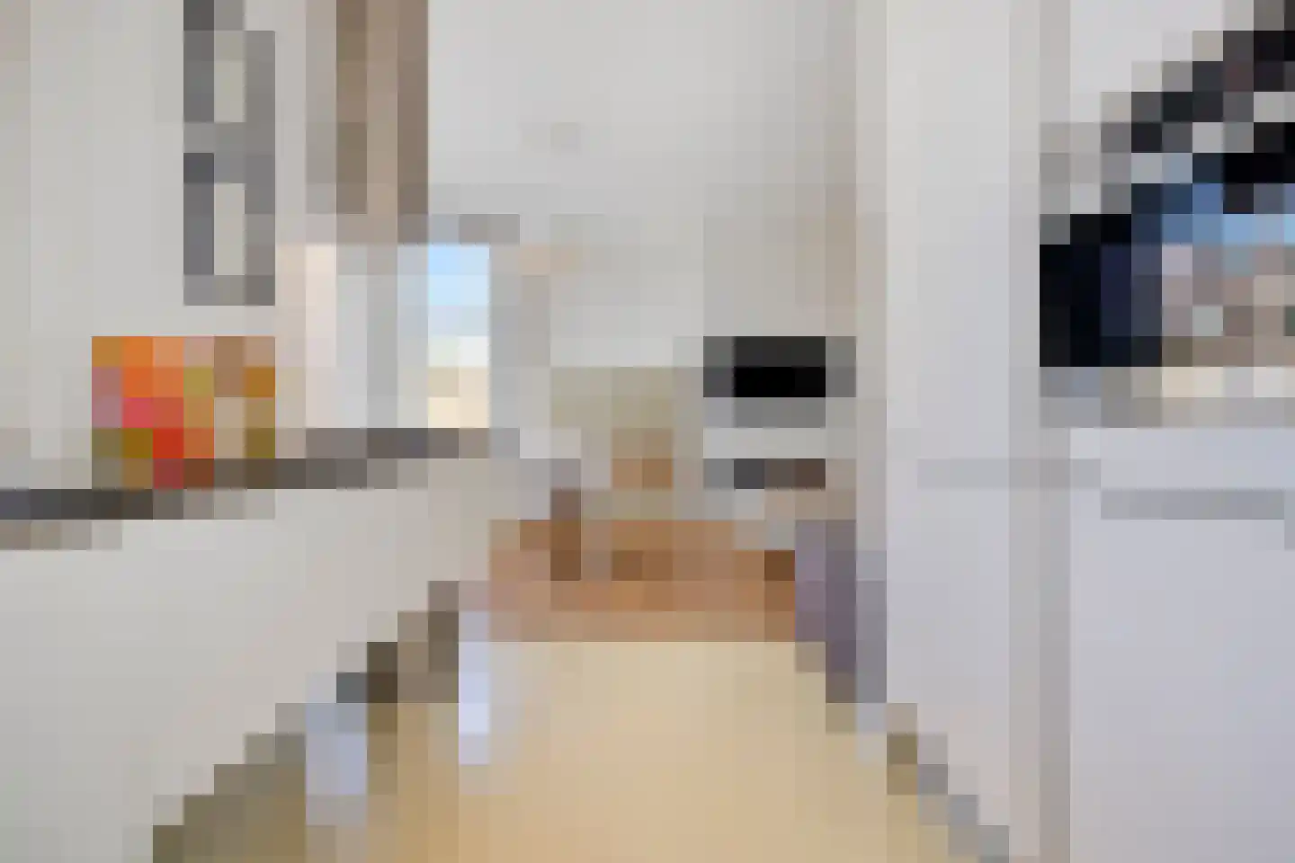 Groot Hertoginnelaan 262 A Den Haag thumbnail 13