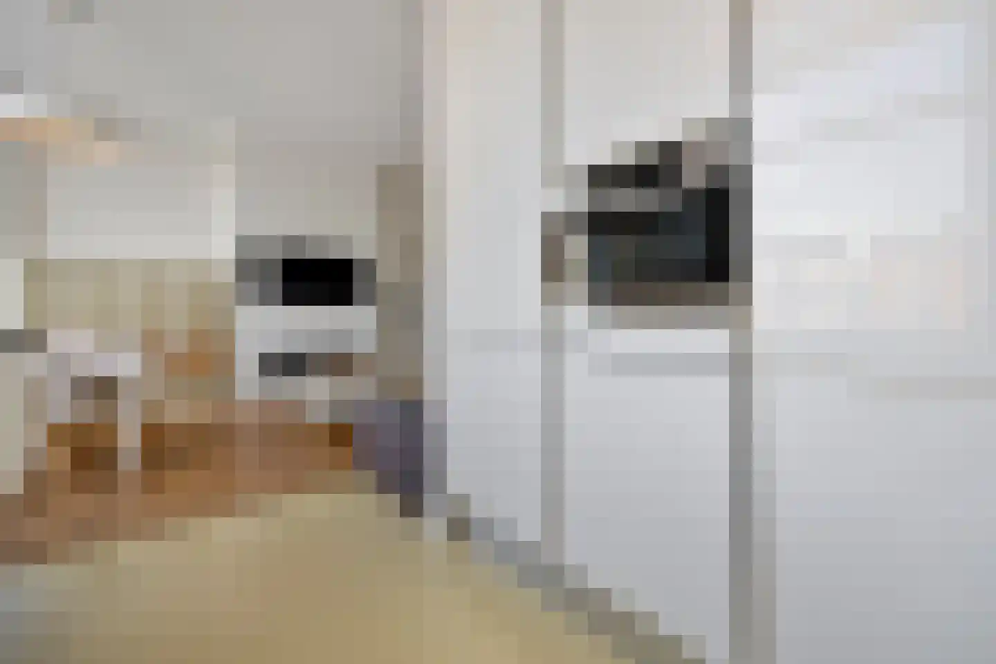 Groot Hertoginnelaan 262 A Den Haag thumbnail 14