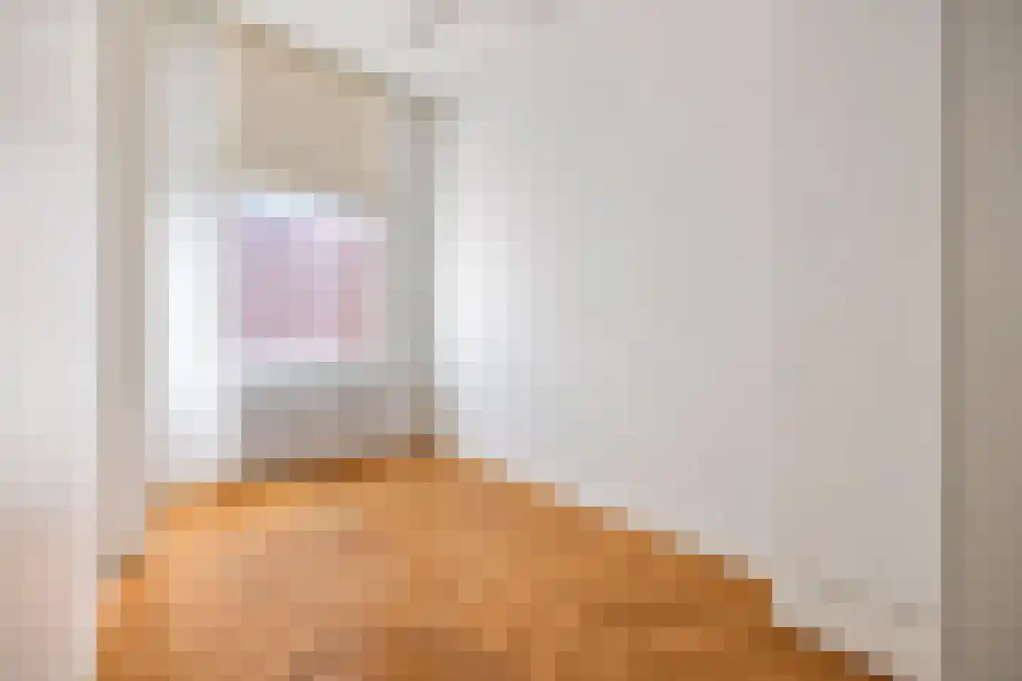 Groot Hertoginnelaan 262 A Den Haag thumbnail 20