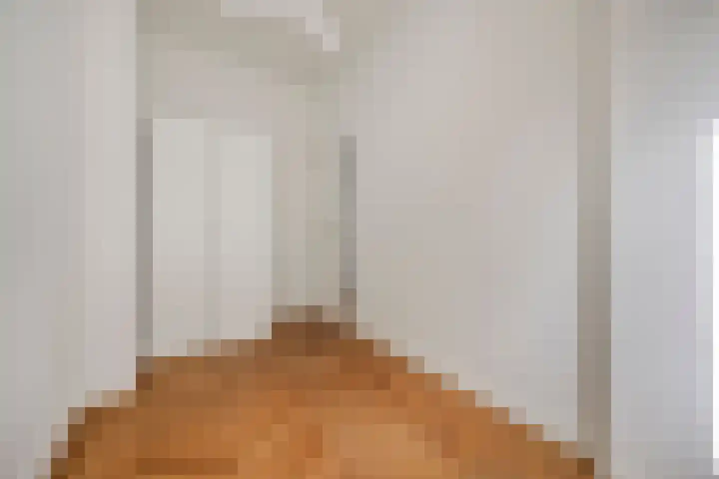 Groot Hertoginnelaan 262 A Den Haag thumbnail 21