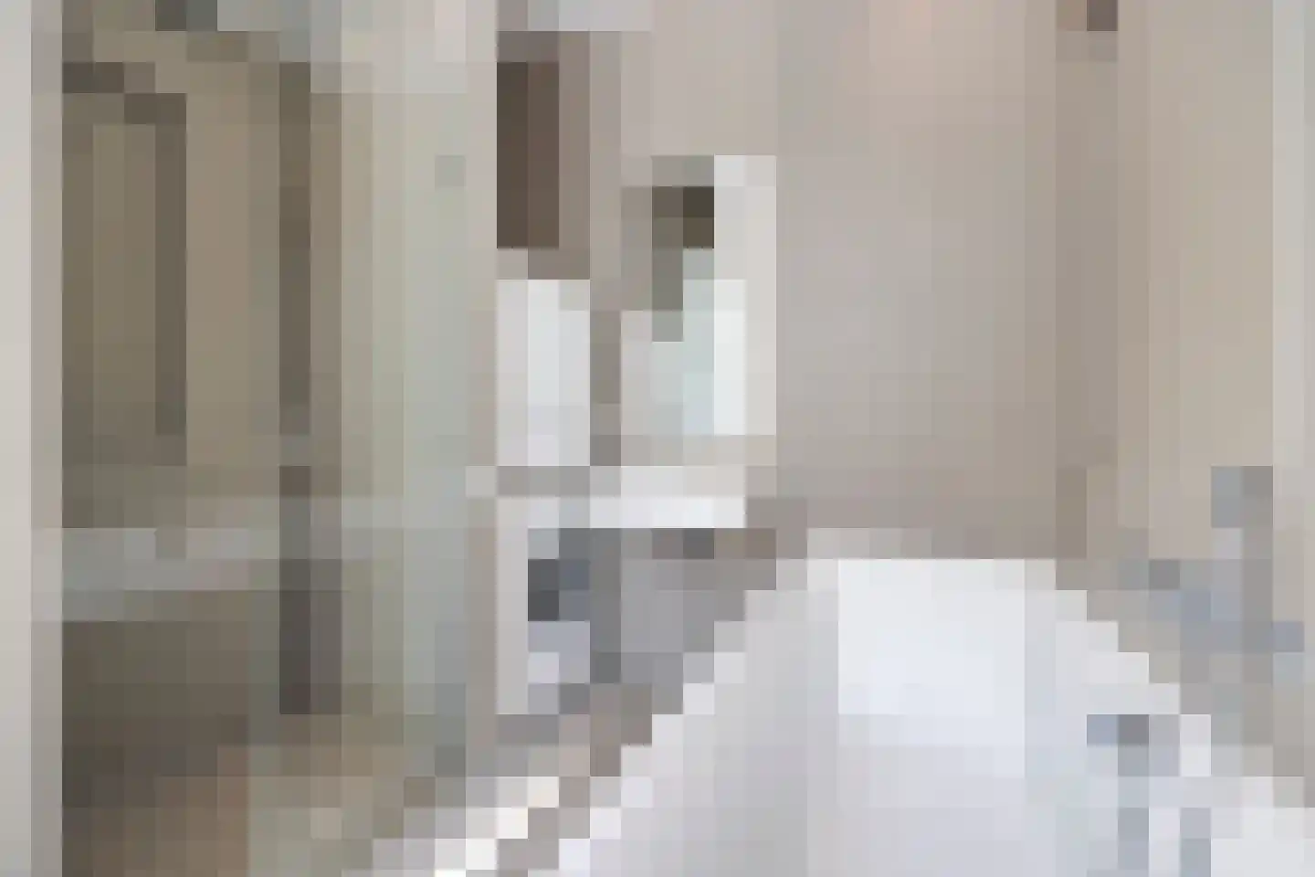 Groot Hertoginnelaan 262 A Den Haag thumbnail 22