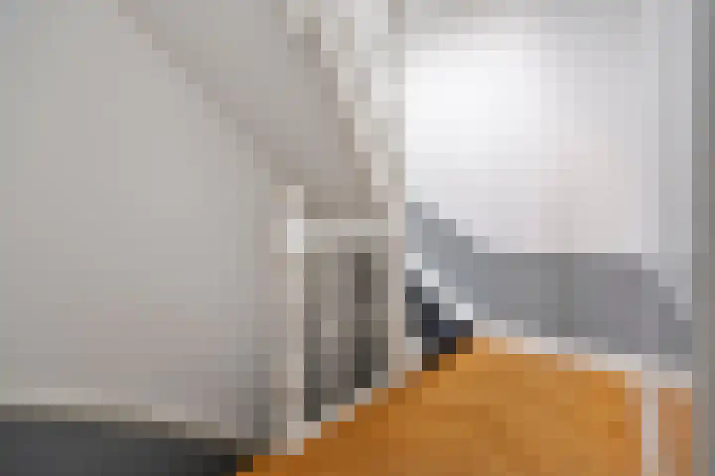 Groot Hertoginnelaan 262 A Den Haag thumbnail 6