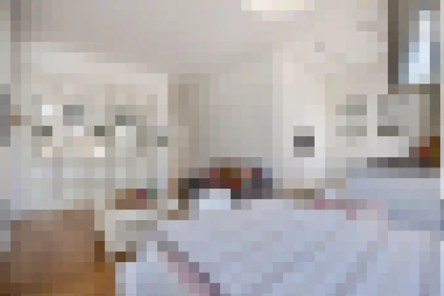 Groot Hertoginnelaan 262 A Den Haag thumbnail 8