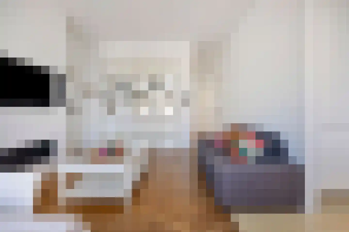 Groot Hertoginnelaan 262 A Den Haag thumbnail 9