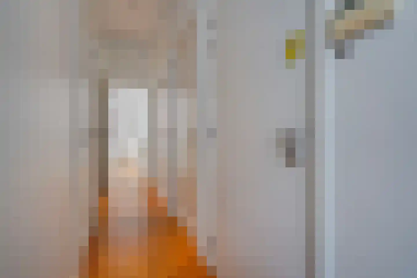 Groot Hertoginnelaan 262 Den Haag thumbnail 10