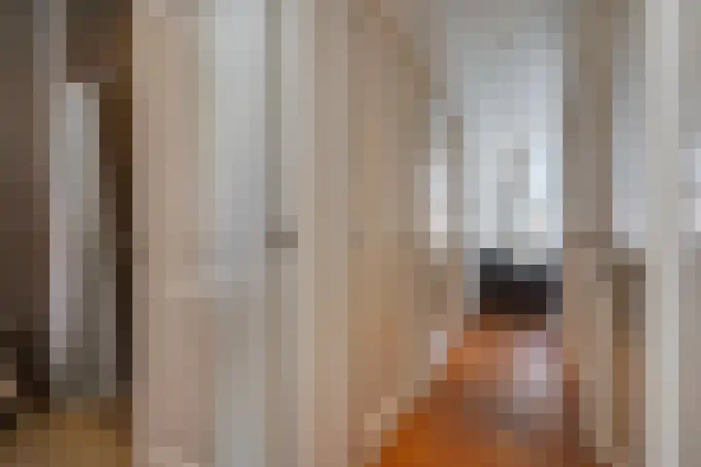 Groot Hertoginnelaan 262 Den Haag thumbnail 11