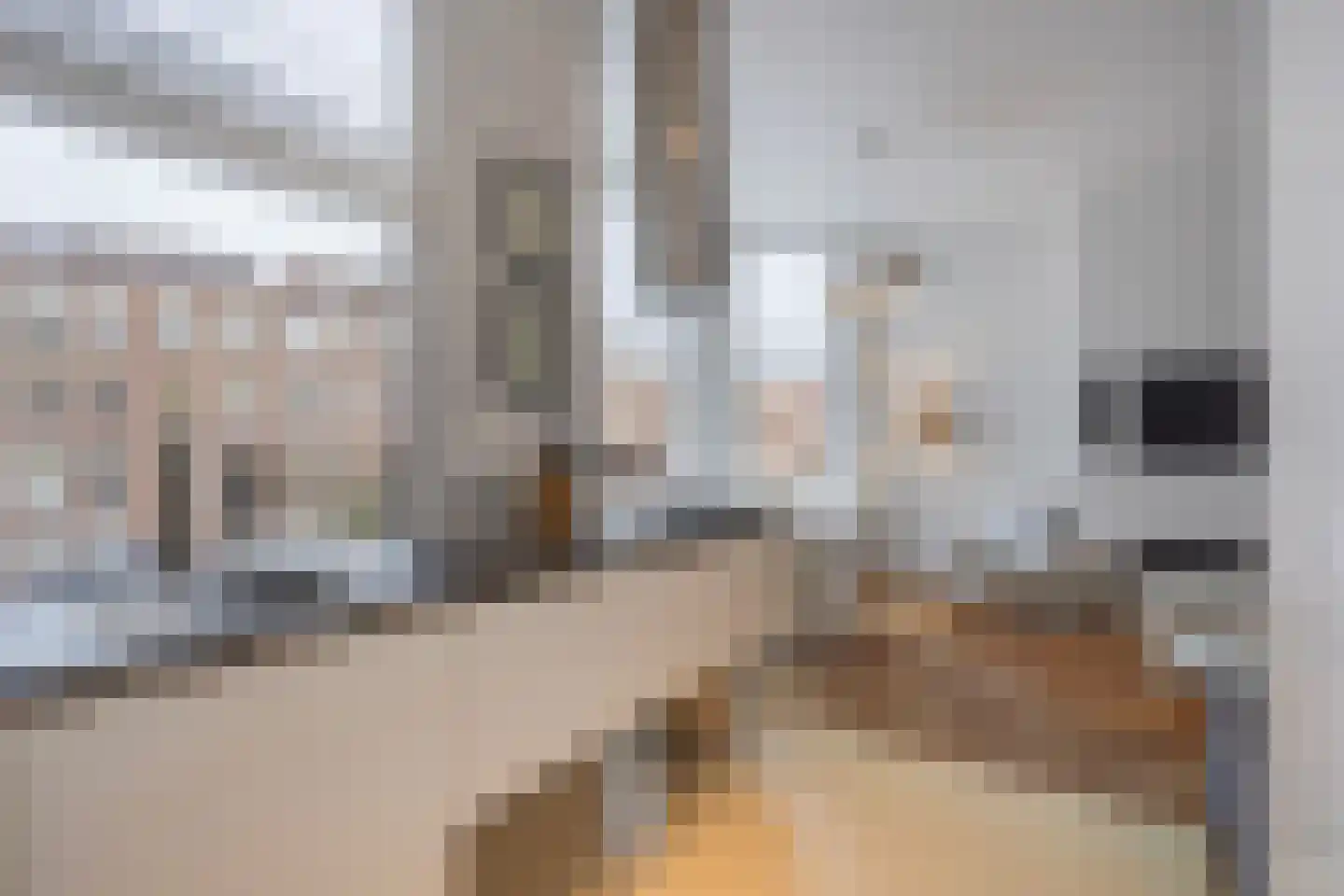 Groot Hertoginnelaan 262 Den Haag thumbnail 13