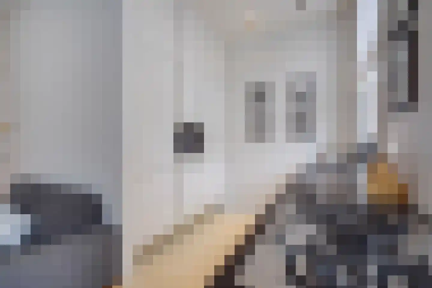 Groot Hertoginnelaan 262 Den Haag thumbnail 14