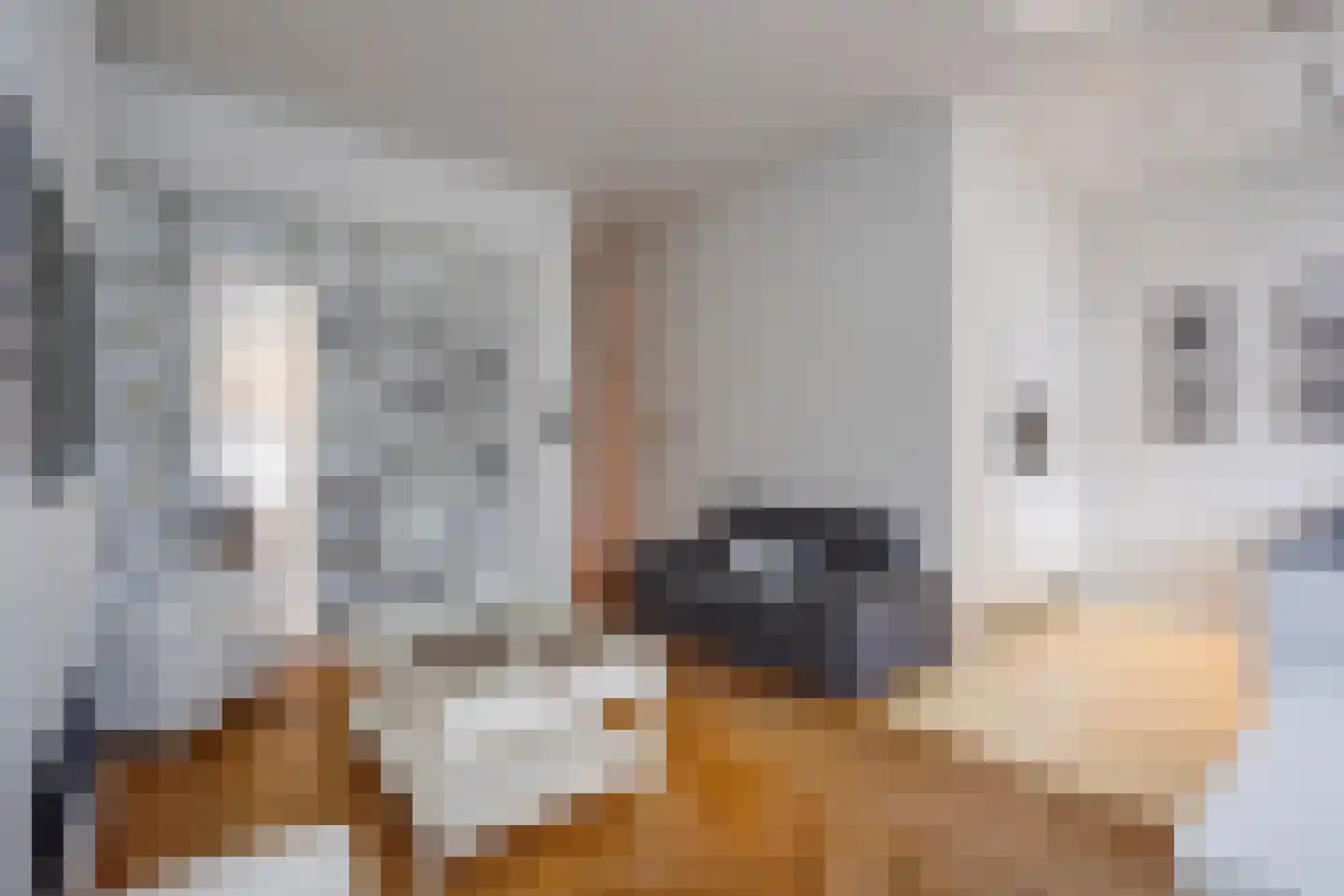 Groot Hertoginnelaan 262 Den Haag thumbnail 17