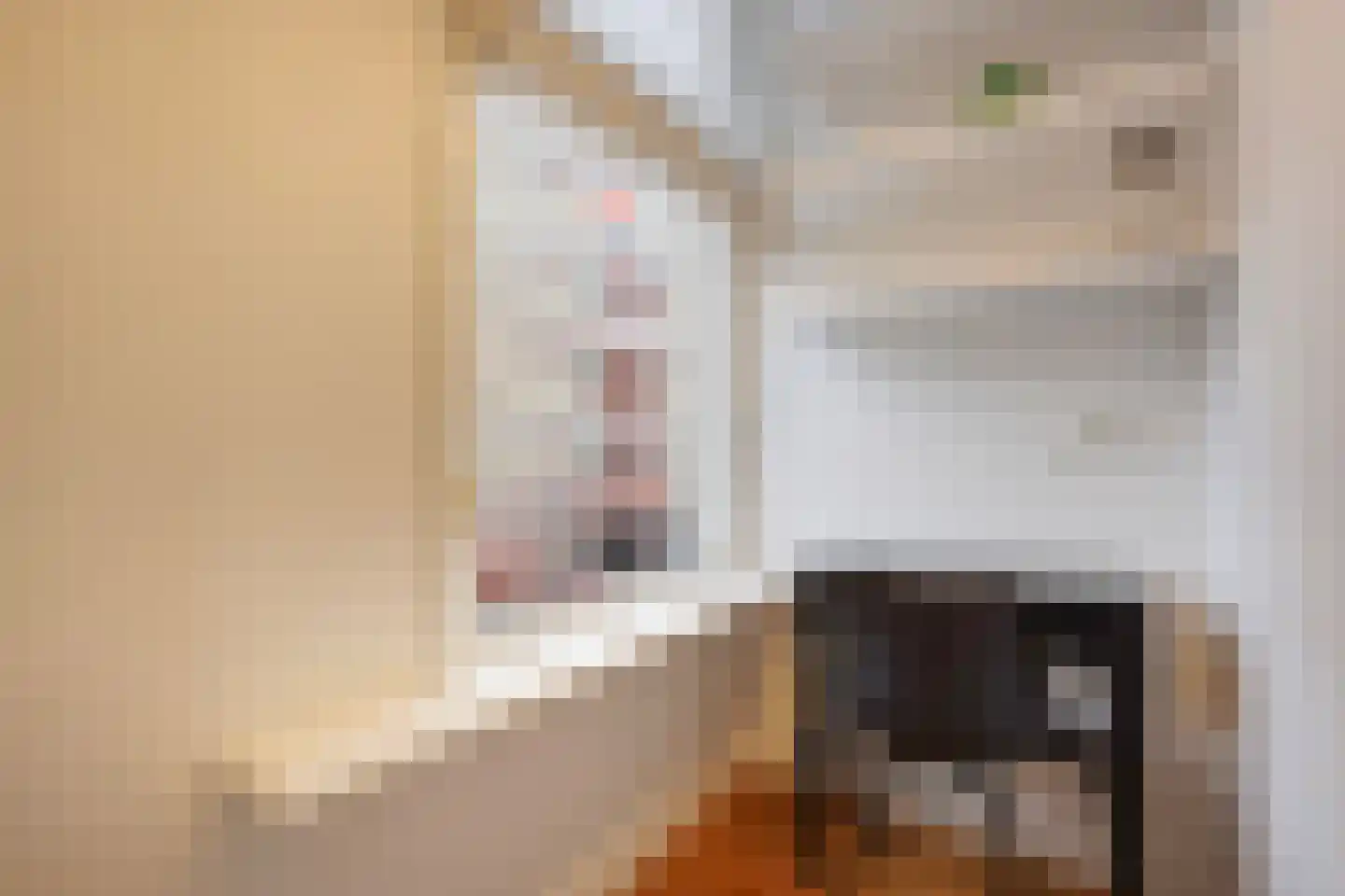 Groot Hertoginnelaan 262 Den Haag thumbnail 20