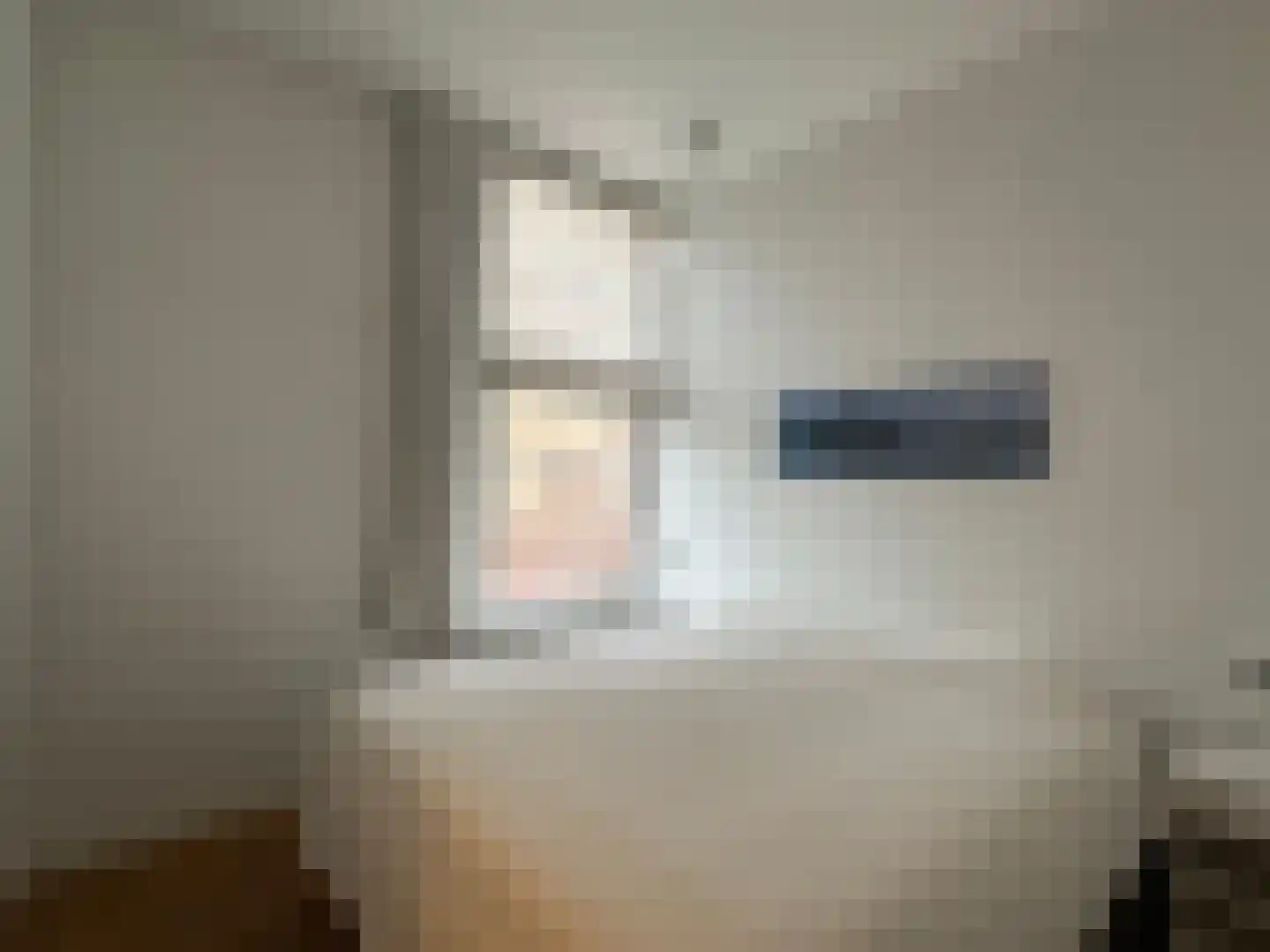 Groot Hertoginnelaan 262 Den Haag thumbnail 23