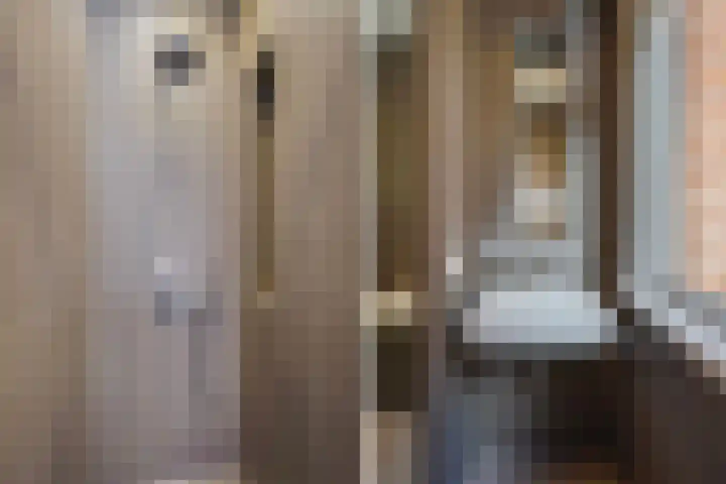 Groot Hertoginnelaan 262 Den Haag thumbnail 25