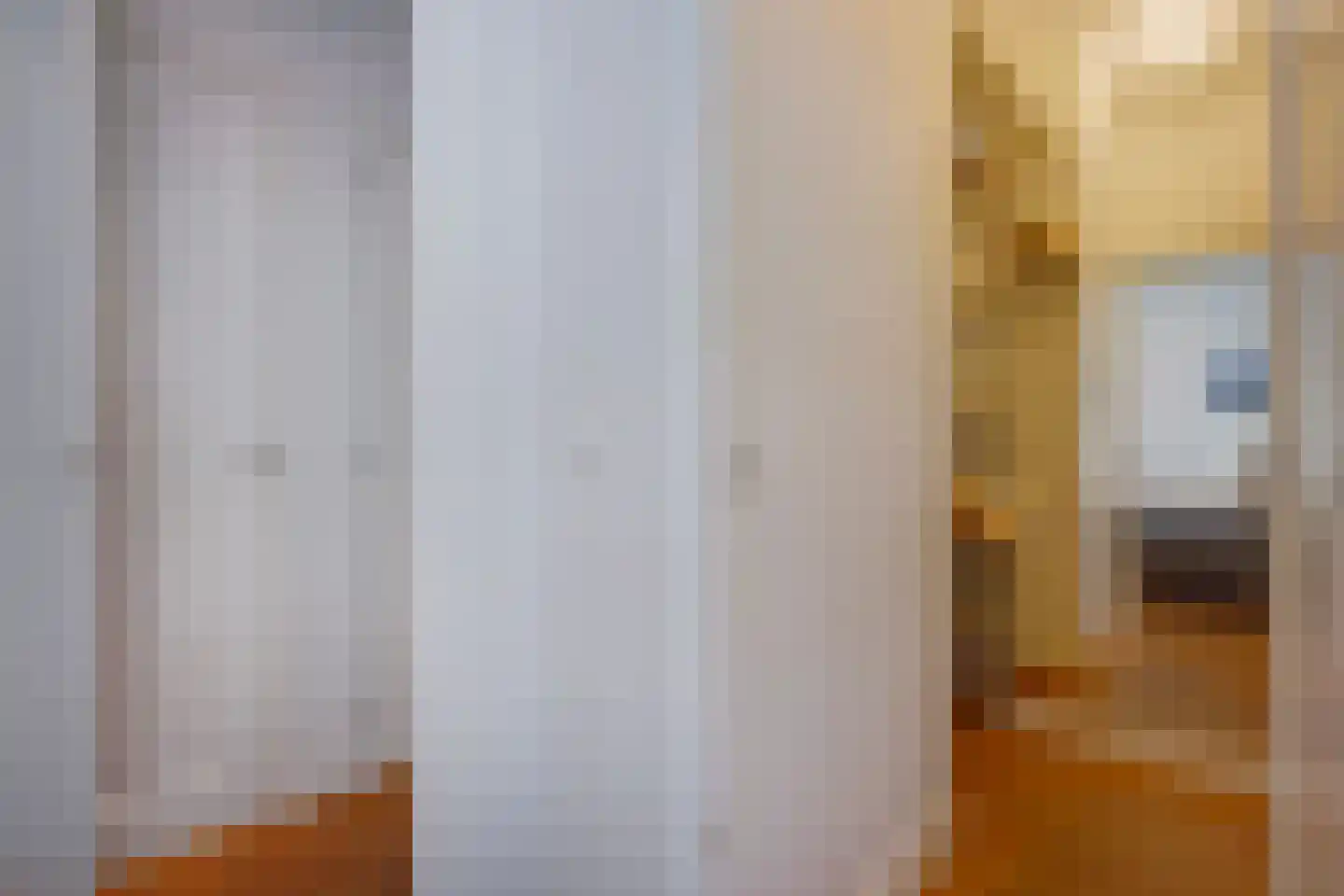 Groot Hertoginnelaan 262 Den Haag thumbnail 29