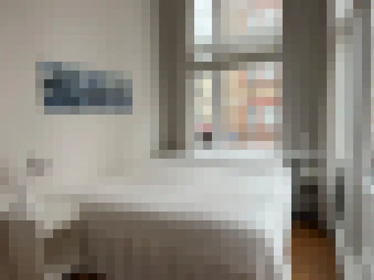 Groot Hertoginnelaan 262 Den Haag thumbnail 30