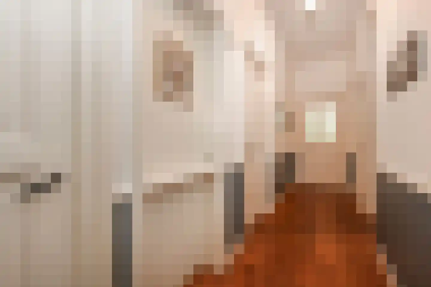 Groot Hertoginnelaan 27 Den Haag thumbnail 14