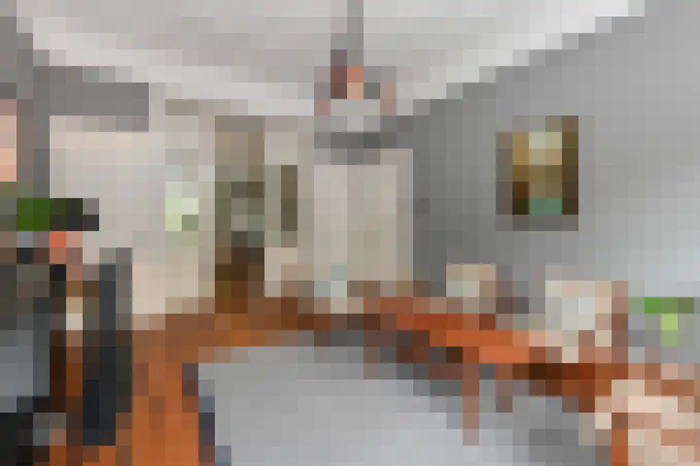 Groot Hertoginnelaan 27 Den Haag thumbnail 16