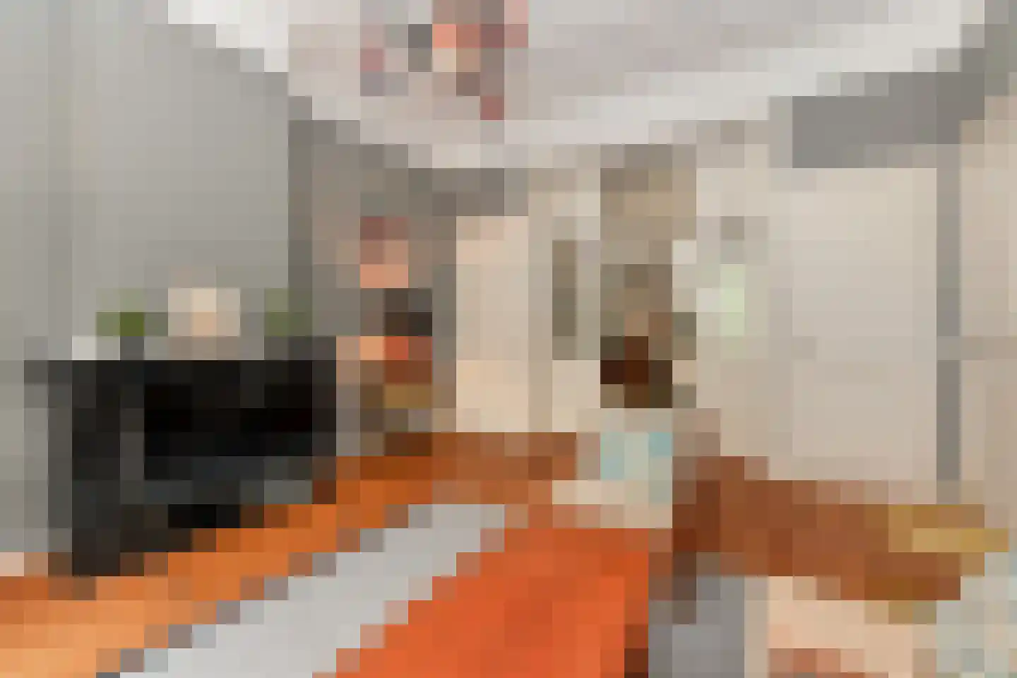 Groot Hertoginnelaan 27 Den Haag thumbnail 17