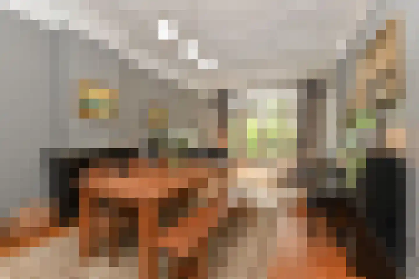 Groot Hertoginnelaan 27 Den Haag thumbnail 19
