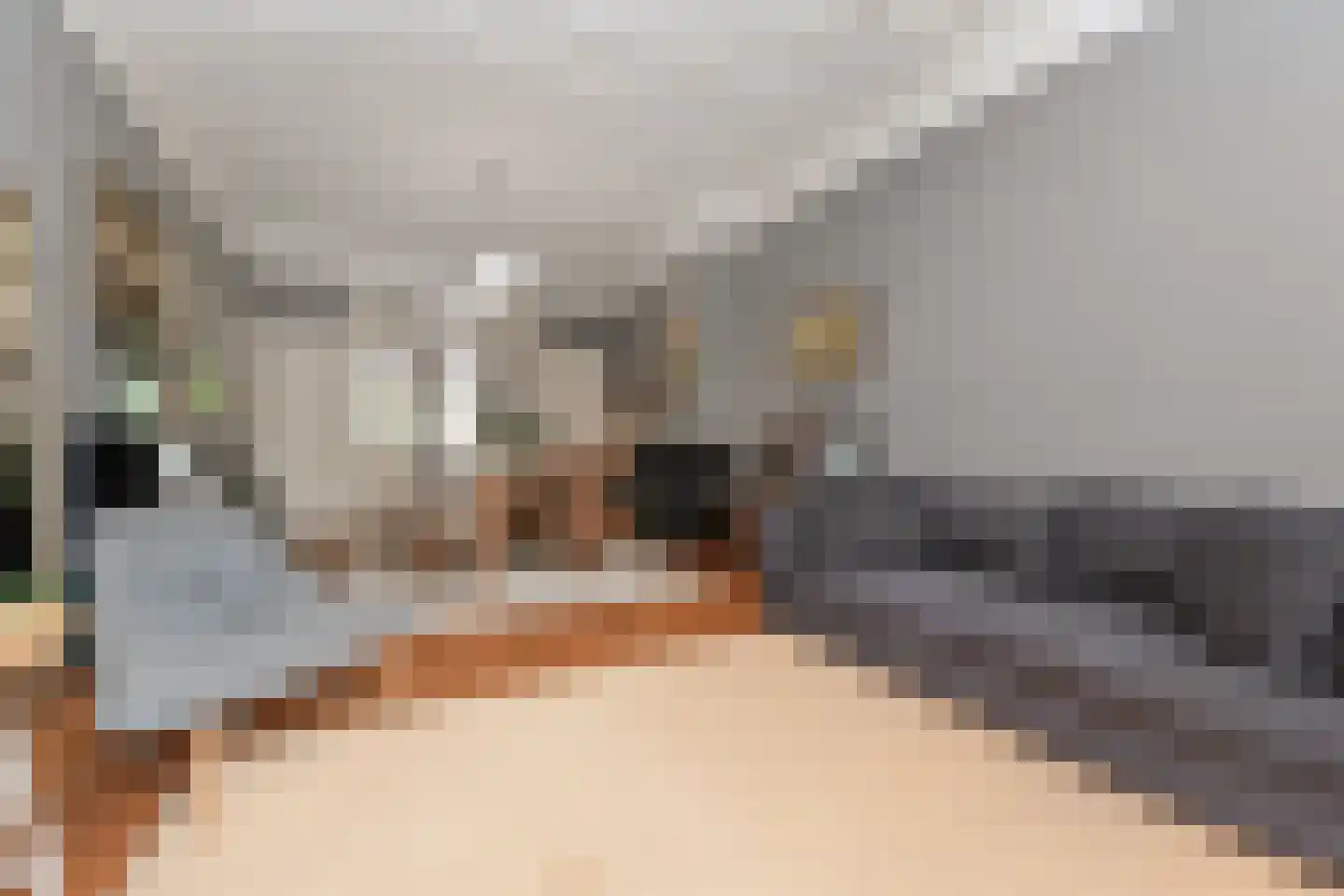 Groot Hertoginnelaan 27 Den Haag thumbnail 25