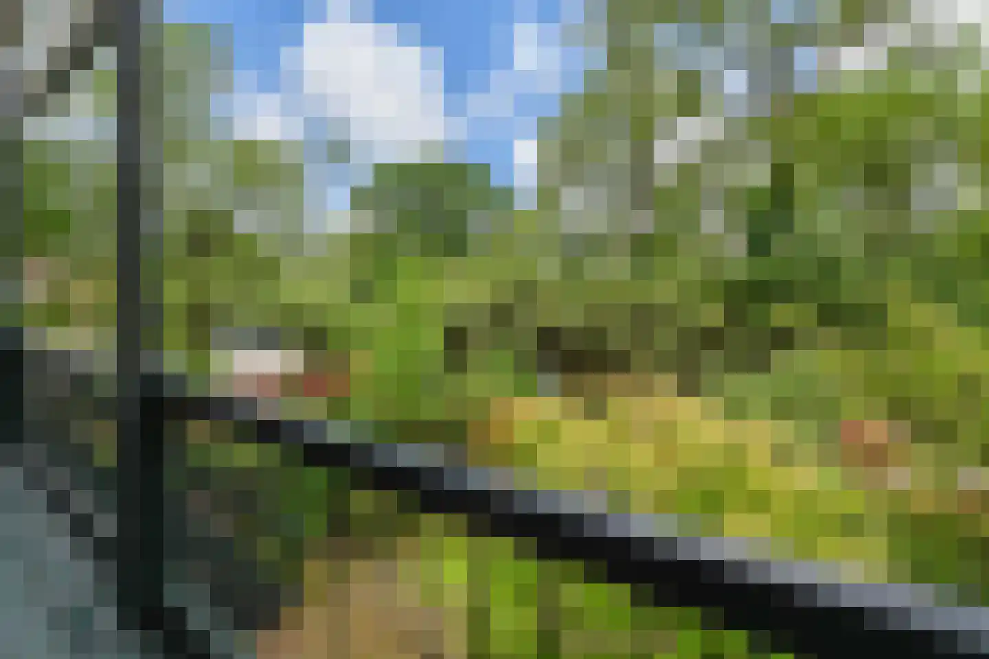 Groot Hertoginnelaan 27 Den Haag thumbnail 28