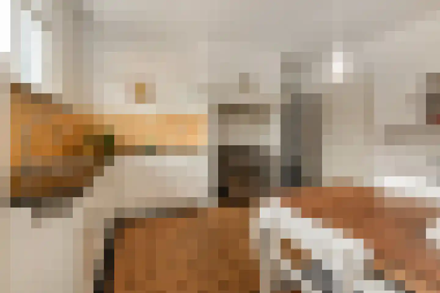 Groot Hertoginnelaan 27 Den Haag thumbnail 36