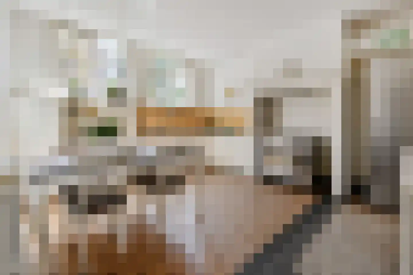 Groot Hertoginnelaan 27 Den Haag thumbnail 4
