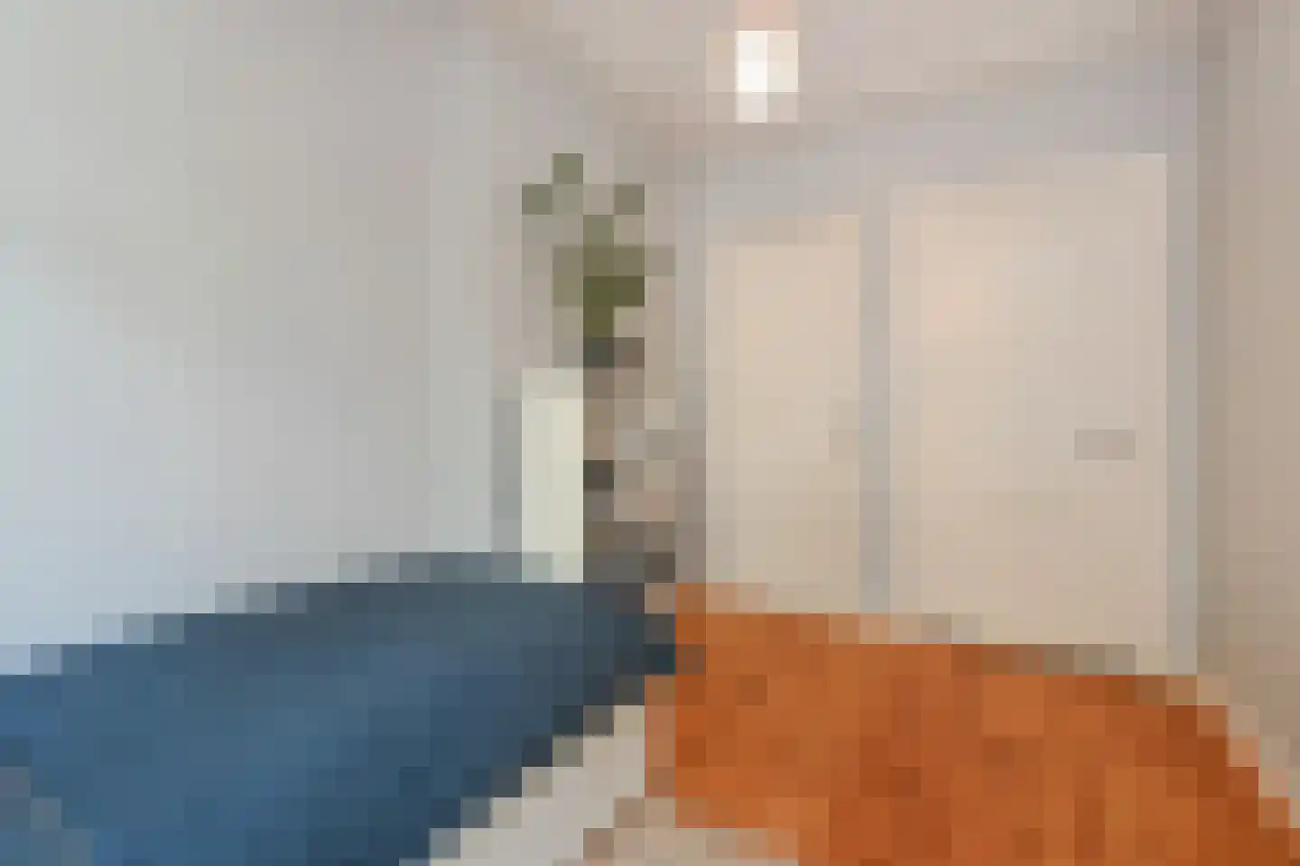 Groot Hertoginnelaan 27 Den Haag thumbnail 43