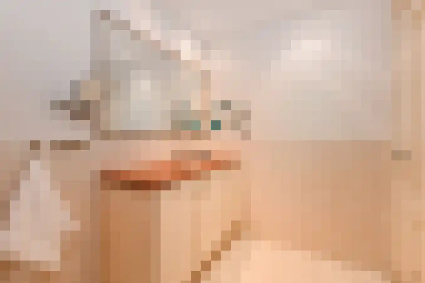 Groot Hertoginnelaan 27 Den Haag thumbnail 46