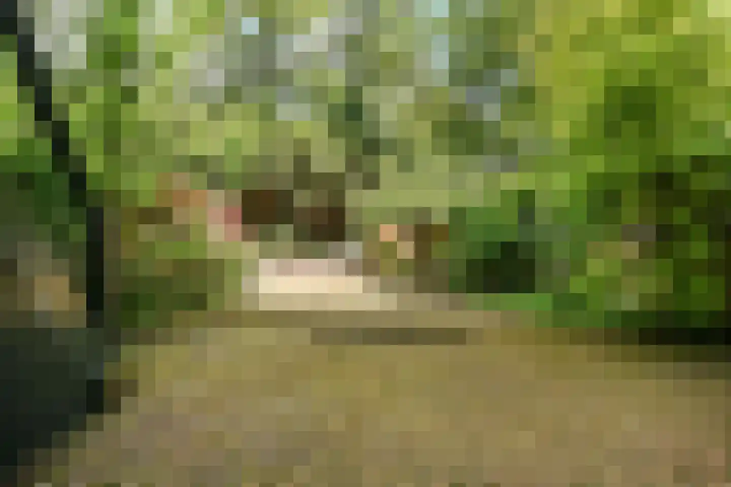 Groot Hertoginnelaan 27 Den Haag thumbnail 47