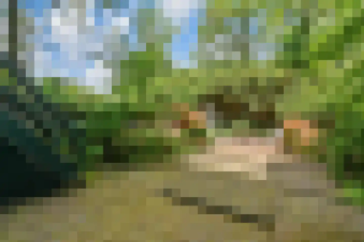 Groot Hertoginnelaan 27 Den Haag thumbnail 48