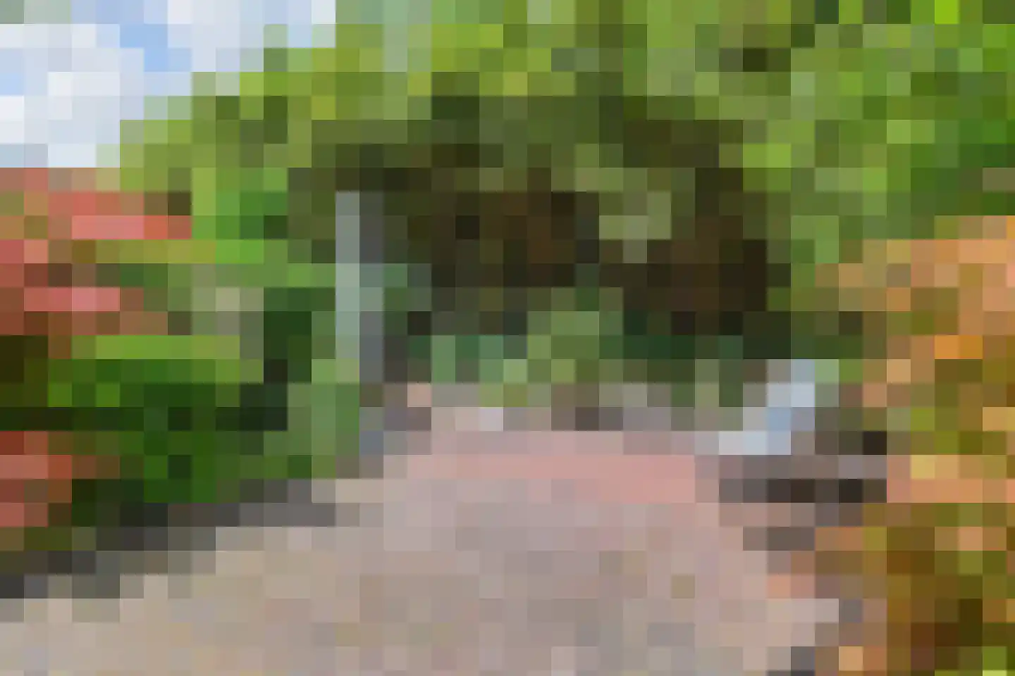 Groot Hertoginnelaan 27 Den Haag thumbnail 49