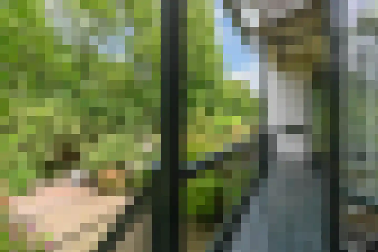 Groot Hertoginnelaan 27 Den Haag thumbnail 5