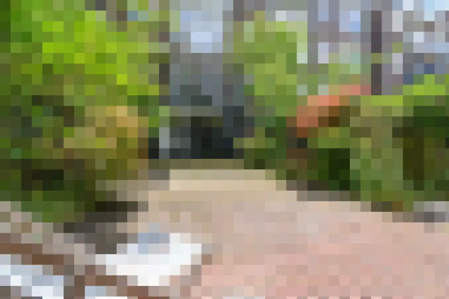 Groot Hertoginnelaan 27 Den Haag thumbnail 6