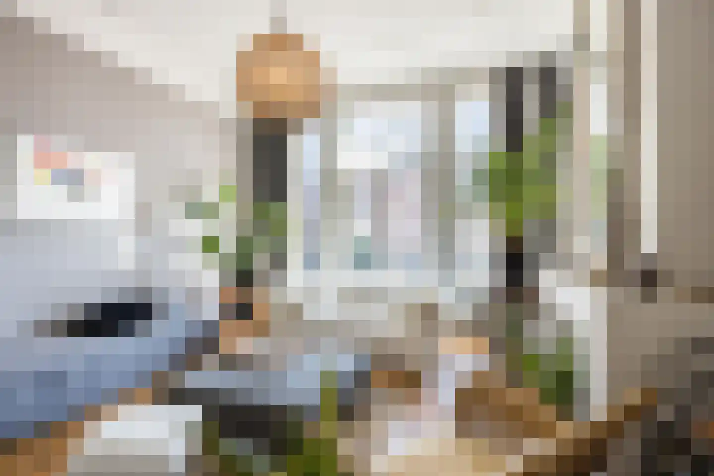 Groot Hertoginnelaan 31 Den Haag thumbnail 11