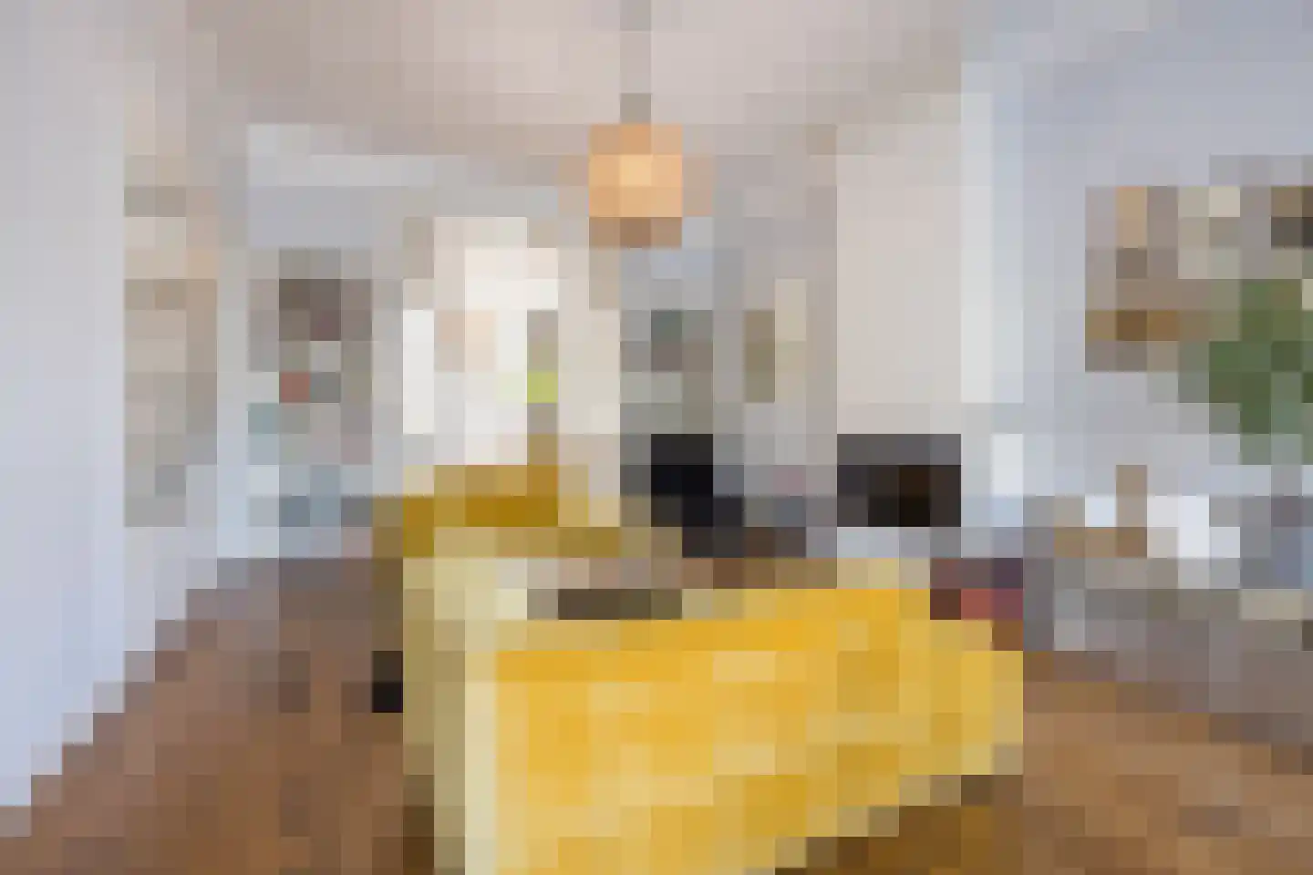 Groot Hertoginnelaan 31 Den Haag thumbnail 18
