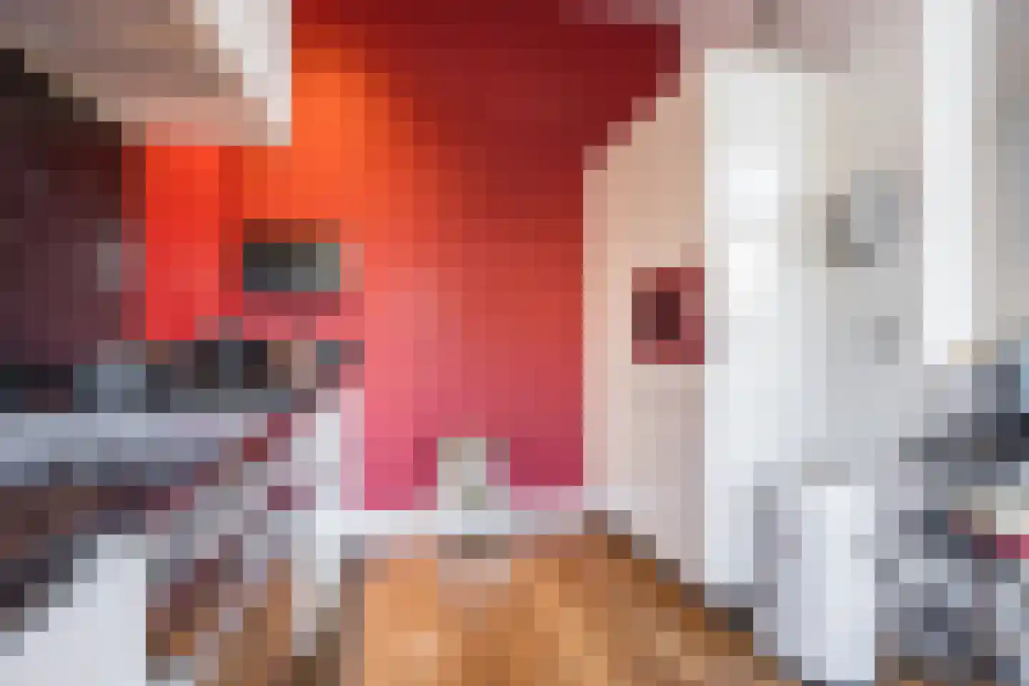 Groot Hertoginnelaan 31 Den Haag thumbnail 23