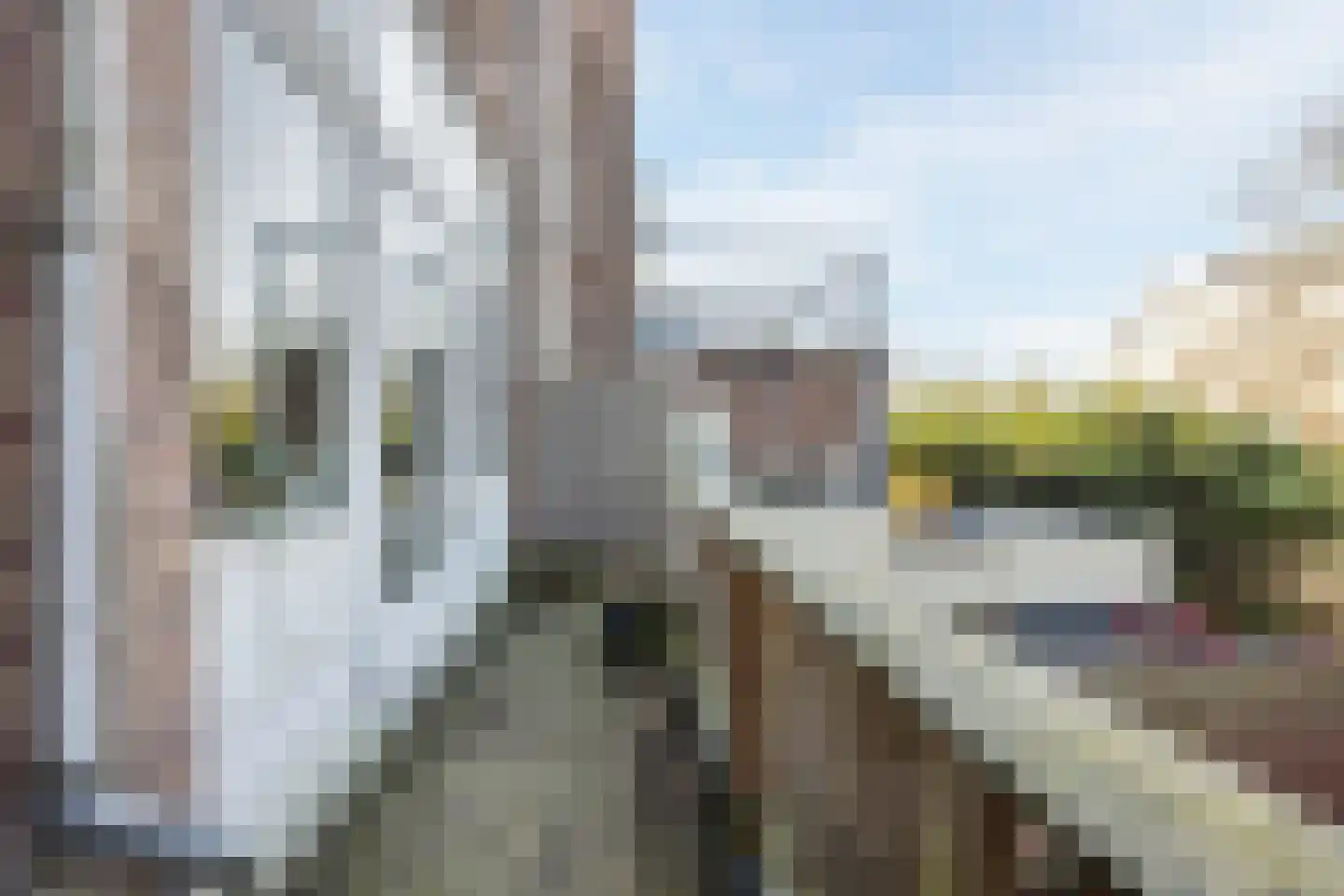 Groot Hertoginnelaan 31 Den Haag thumbnail 27