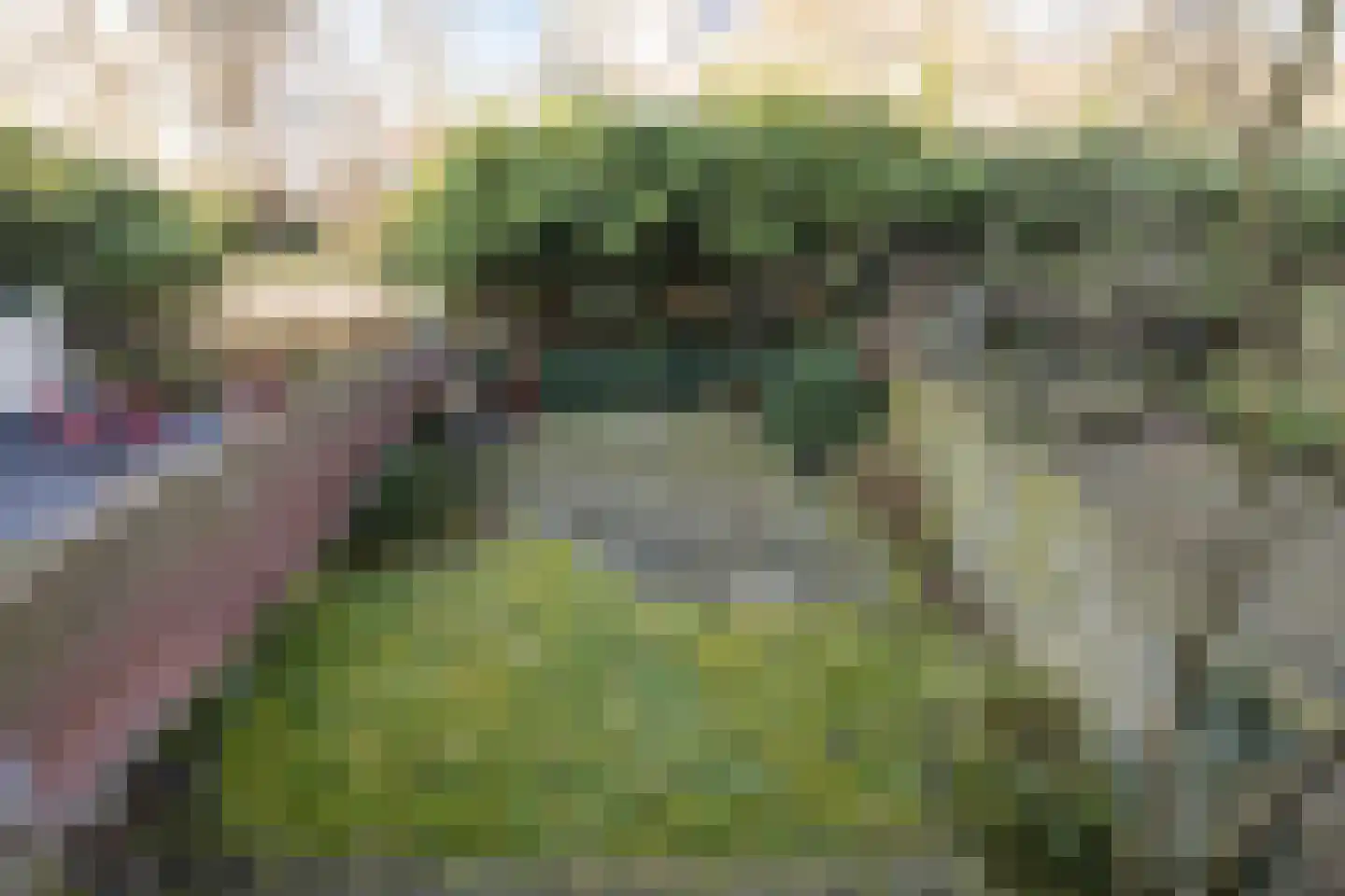 Groot Hertoginnelaan 31 Den Haag thumbnail 29